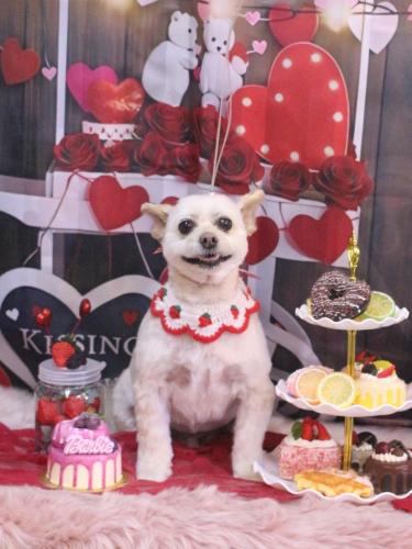 20250224ポンタくん